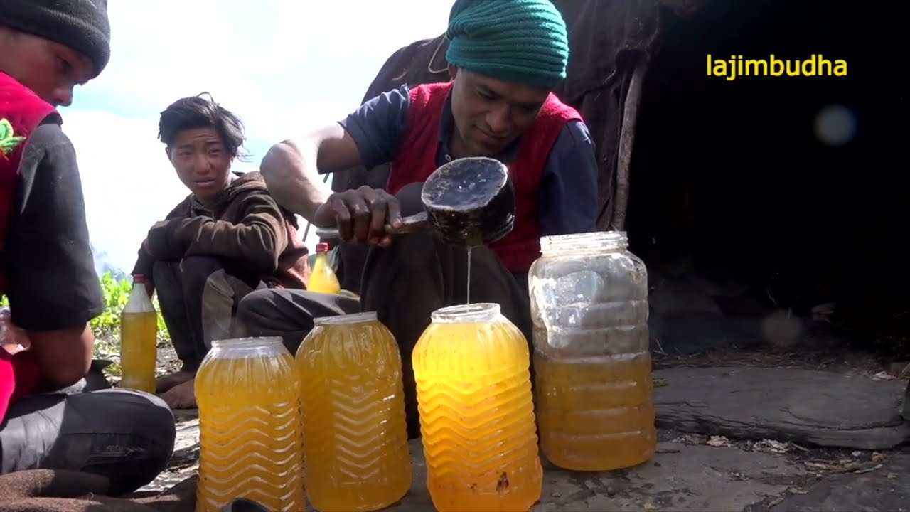 butter making in the himalayan sheep farm || Nepal🇳🇵|| lajimbudha ||