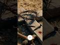 💫 “Jesus — The Way Maker When Life Feels Impossible” | Christian Miracle Short