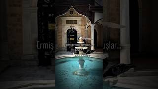 Ermiş Bir Insana Sormuşlarısözler Şfet