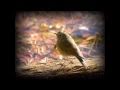 独りぼっちの夜(original)多重録音版
