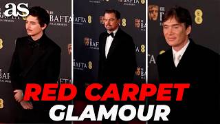 Download Lagu TIMOTHÉE CHALAMET, LEONARDO DICAPRIO \u0026 CILLIAN MURPHY TURN HEADS ON THE BAFTA RED CARPET MP3