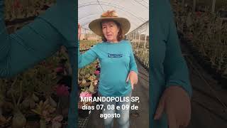 Levando a beleza das flores para Mirandopolis