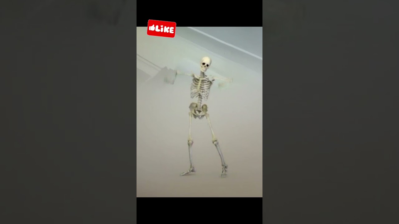 This Deadly Dance is Dedicated to Those People Who enjoyed Their Life & lived Meaningfully 