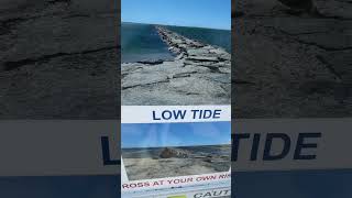 Letβs see what is high and low tide before u go