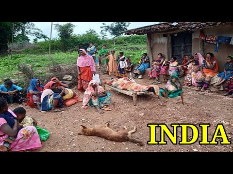 Rural Life In Uttar Pradesh India Village || Rural Life India || Farmer Life In India