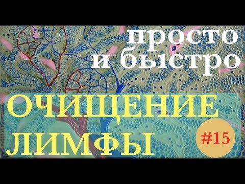 ОЧИСТКА ЛИМФЫ коротко о главном