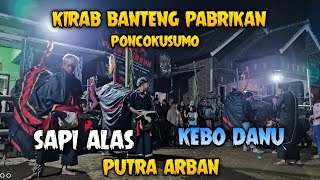 Live kirab bantengan pabrikan poncokusumo | Sapi Alas | Kebo Danu | Putra Arban