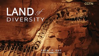 Supercomputer helps reveal Earth’s mass extinctions