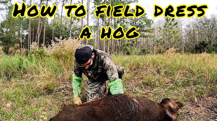 How to Field Dress a Hog