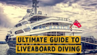 Scuba Diving Basics: A Divers Ultimate Guide To Liveaboard Diving