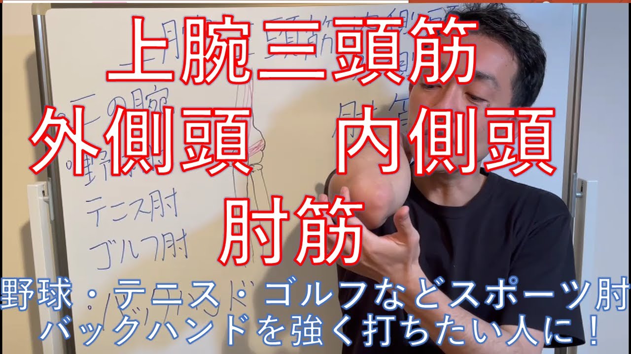 【インナーマッスル】上腕三頭筋内側頭・外側頭・肘筋　野球やテニス・ゴルフなどスポーツ肘を予防し改善する　バックハンドで強く打ちたい方　二の腕痩せに重要！