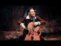 Who i am  alan walker  jodok cello