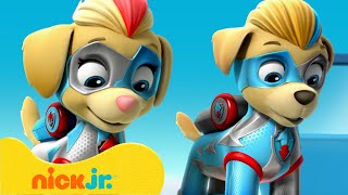 PAW Patrol | PAW Patrol Mighty Pups  Die besten Rettungsmissionen! | Nick Jr. Deutschland