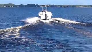 2011 Sea Fox 206 CC 150 Yamaha 4 stroke