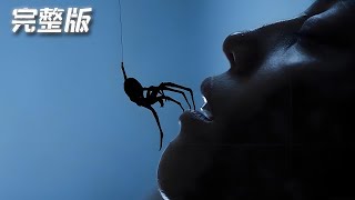 【下飯解說】最新驚悚電影《蜘蛛》——亞特蘭電影節最佳驚悚提名，2025最新災難佳作#蜘蛛 #驚悚電影#逐夢電影