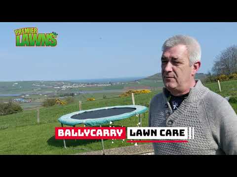 Ballycarry lawn treatments