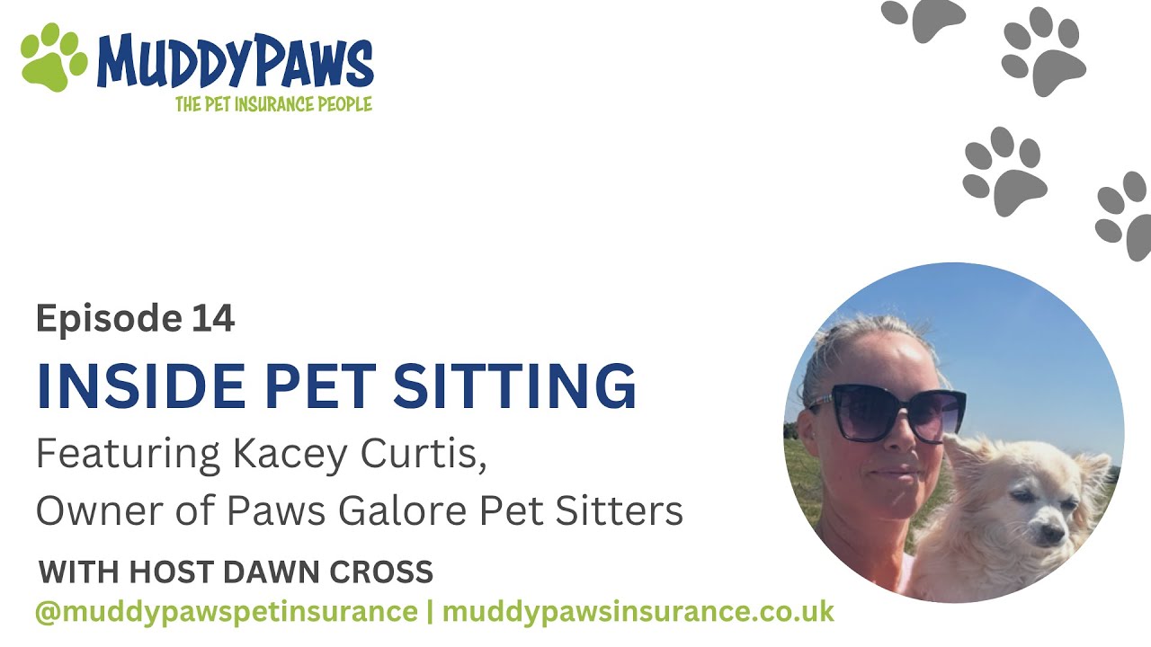 Inside Pet Sitting with Kacey Curtis
