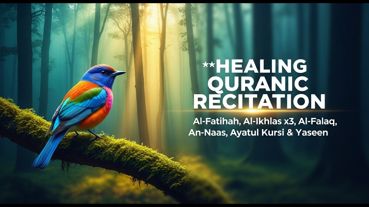 أذكار الصباح والمساء﻿ Morning & Evening Dhikr  Blessings & Calm  Bilingual Text