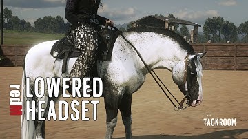 How to Get a Low Headset in The Tackroom | Using /Settings for Western Horses