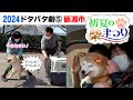 2024狂犬病予防注射会場のドタバタ劇⑤ 砺波市初夏の柴まつり