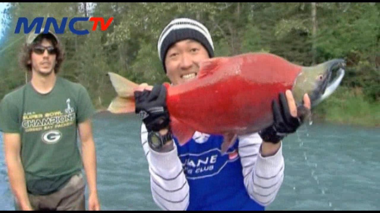 7 Monster Air Alaska - Mata Pancing MNCTV