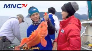 7 Monster Air Alaska - Mata Pancing MNCTV