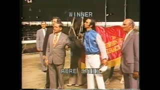 Pure Steel Paleface Adios 1978 Miracle Mile Pace Harold Park Raceway Australia
