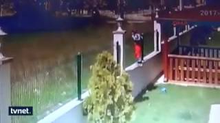 Dangerous!! "German Shepherd" dogs attack on 9 Year-old-boy