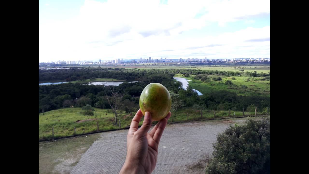 AQUELES OLHOS COR DE MEL - SÓ VIOLÃO - MÚSICA ROMÂNTICA(#031) - YouTube