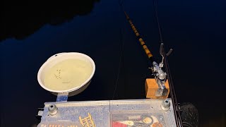 【実釣ライブ】ヘラブナ！早朝配信☺️