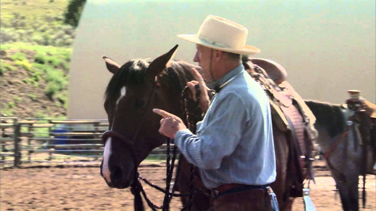 7 Clinics with Buck Brannaman - SNEAK PEEK "Back & Across"
