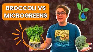 Broccoli Microgreens vs Broccoli: Which Fights Inflammation Better? 🔥