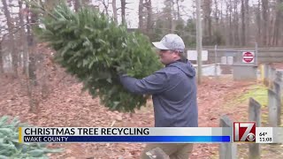 Wake County Christmas tree recycling starts