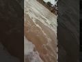 امطار غزيره على محافظة مأرب سيول جارفه