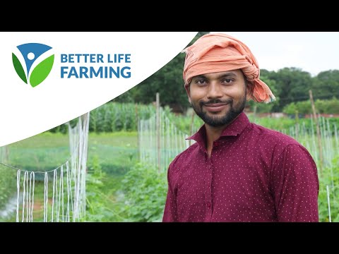 Better Life Farming the Smallholder Market Place
