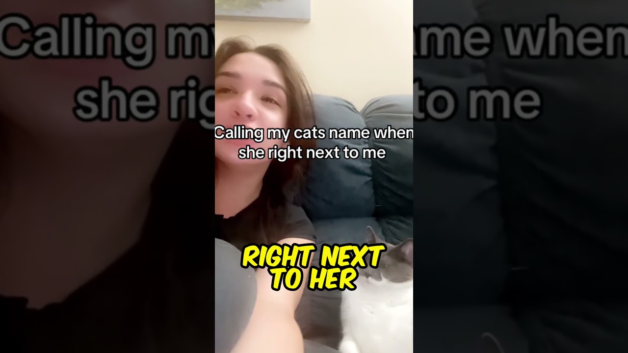 This girl pulled a prank on her cat, and it totally worked 😂