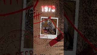 India के 40,000 Tigers कैसे घटकर सिर्फ 3,500 रह गए? | Project Tiger की सच्ची कहानी 🐅 #tigerforest