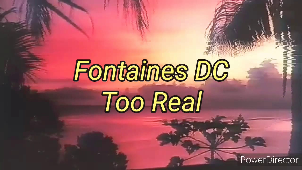 Fontaines DC Too Real (lyrics + subtitulos) YouTube