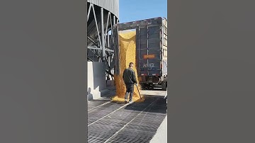 Unloading Corn Kernels From Anti-Bulge Box Truck