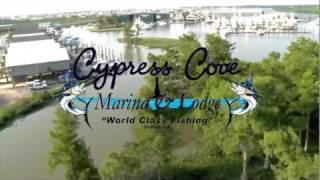 Cypress Cove Marina & Lodge, Venice, LA.