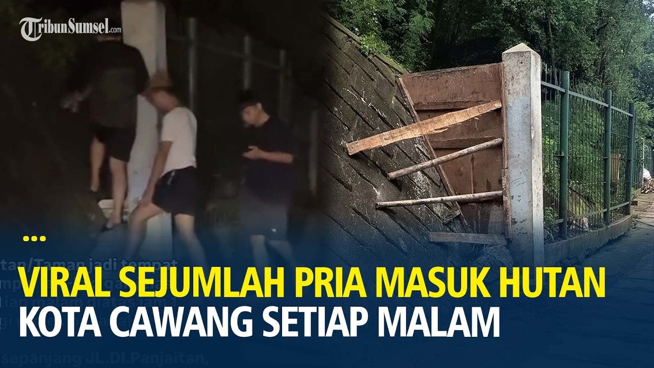 Viral Sejumlah Pria Masuk Hutan Kota Cawang Setiap Malam, Pemkot Tutup Akses