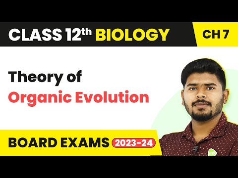 Class 12 Biology Chapter 7 | Theory of Organic Evolution (Lamarkism) - Evolution