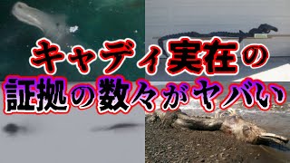 [Yukkuri Commentary] So the Legendary Cryptid Actually Existed! The Terrifying Evidence of Caddy...