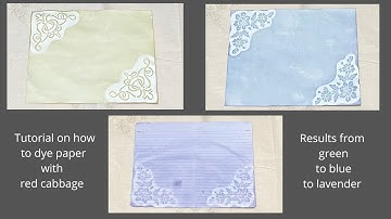 How to Dye Paper With Red Cabbage