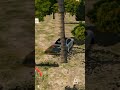 #duckybhai #ontrending #shorts #carparkingmultiplayer #instagram #kashirking #bmw #rx8 #subscribe