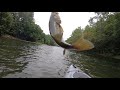 Small mouth fishing on the Shenandoah River