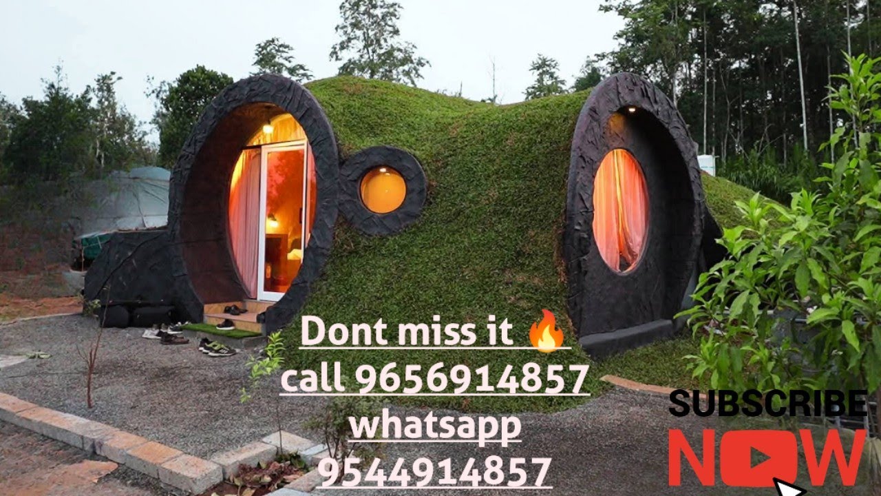 ചന്ദനകൃഷിയിൽ നിന്നും കോടികൾ സാമ്പാദിക്കാം. പക്ഷേ അറിഞ്ഞിരിക്കണം. എന്ത് ❓|9656914857 Sandhya Anish 