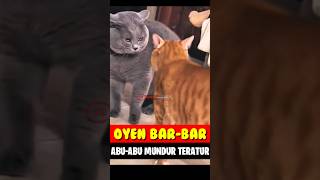 Download Lagu OYEN BAR-BAR..😱ABU-ABU MUNDUR TERATUR#kucingoren #kucinglucu #oyenbarbar MP3 Download Lagu OYEN BAR-BAR..😱ABU-ABU MUNDUR TERATUR#kucingoren #kucinglucu #oyenbarbar MP3