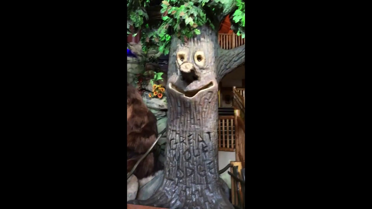 The Eyes Follow You!