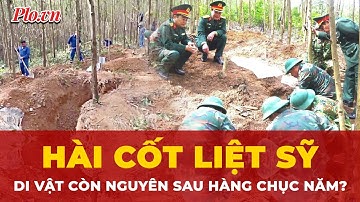 Phát hiện 4 hài cốt liệt sĩ trong rừng tràm Quảng Trị | Tin nhanh